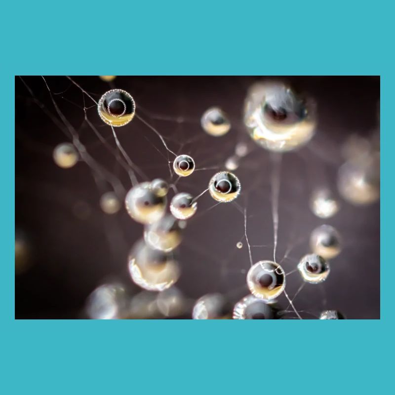 Droplets