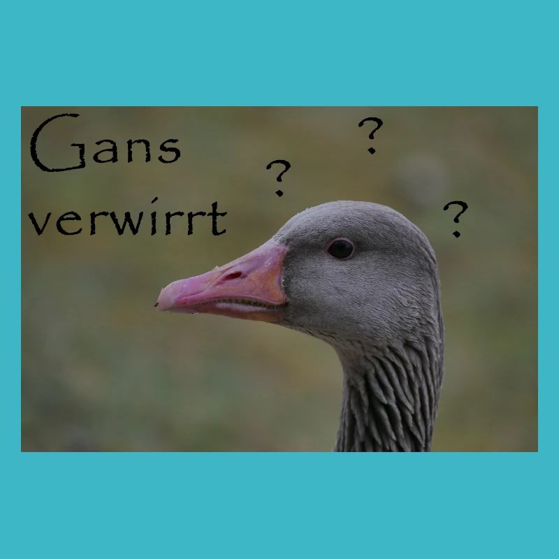 Gans verwirrt - witziger Spruch