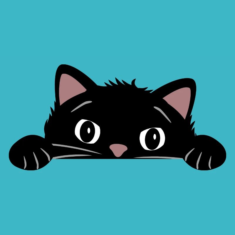 Peeping funny black cat