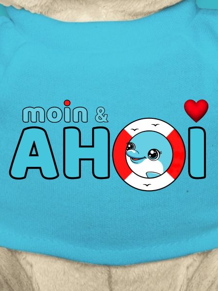 Moin and Ahoy