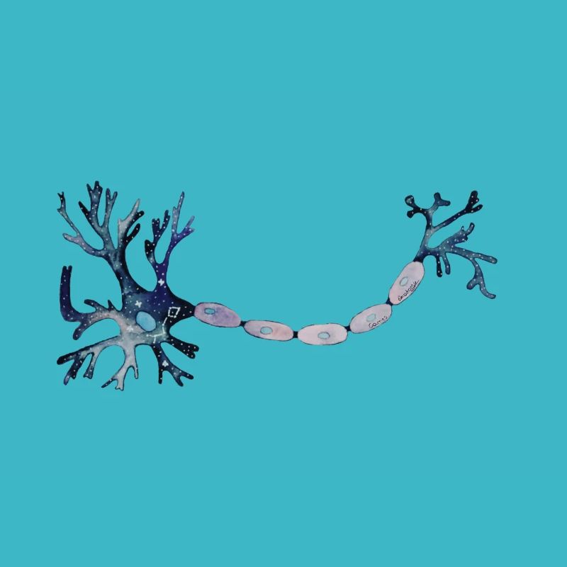 Neuron