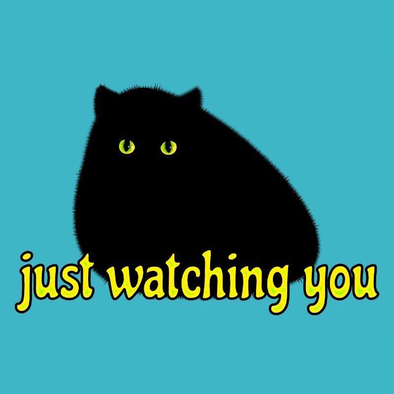black cat is watching you