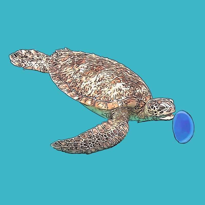Tortue verte