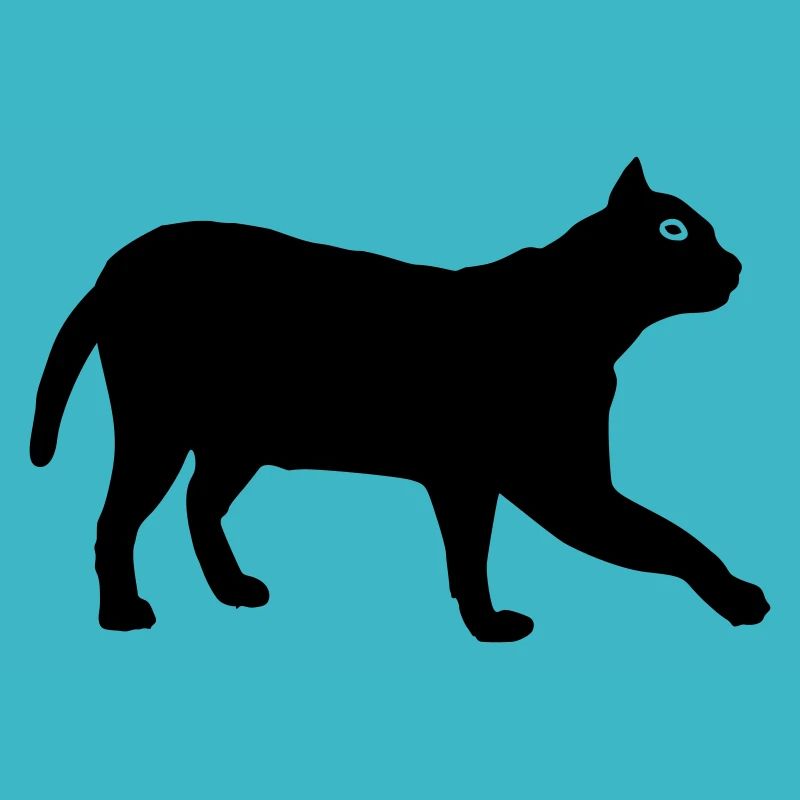 Cat 1