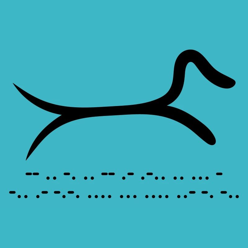 Teckel avec code morse