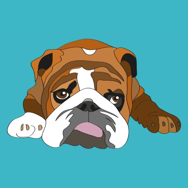bouledogue