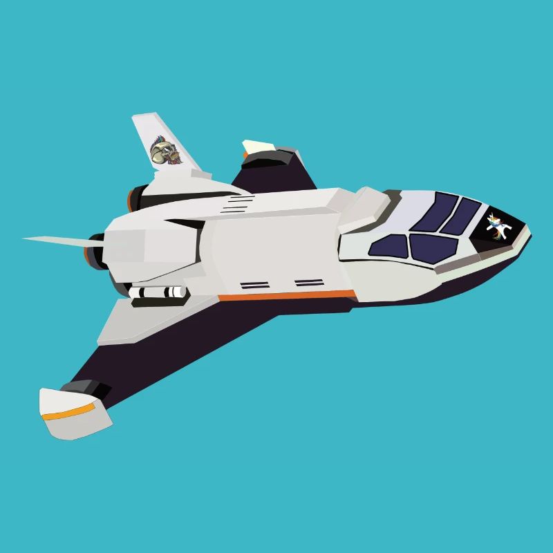 Space Shuttle Flug