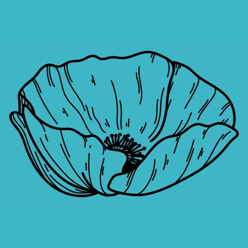 Mohn Blume