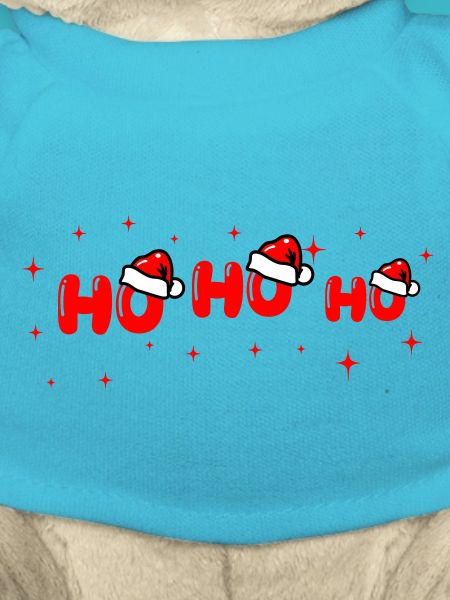 Ho Ho Ho Santa Lettering