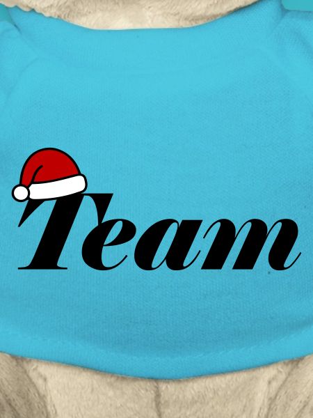 Team Christmas Christmas Hat