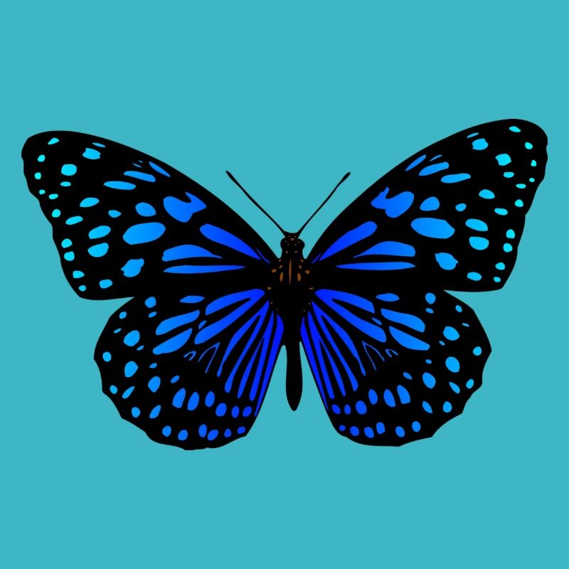 Bleu papillon