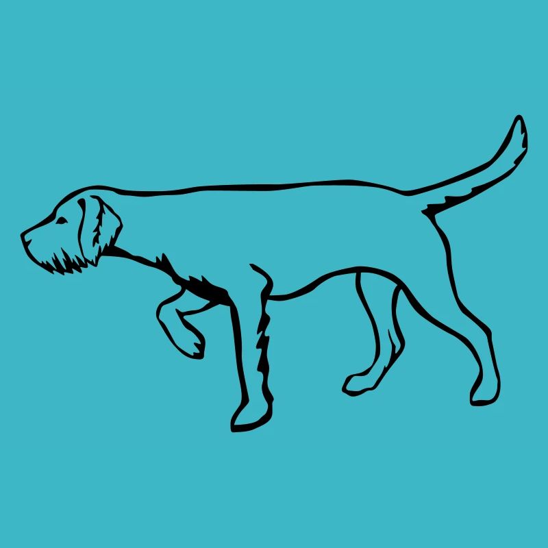 Magyar Vizsla