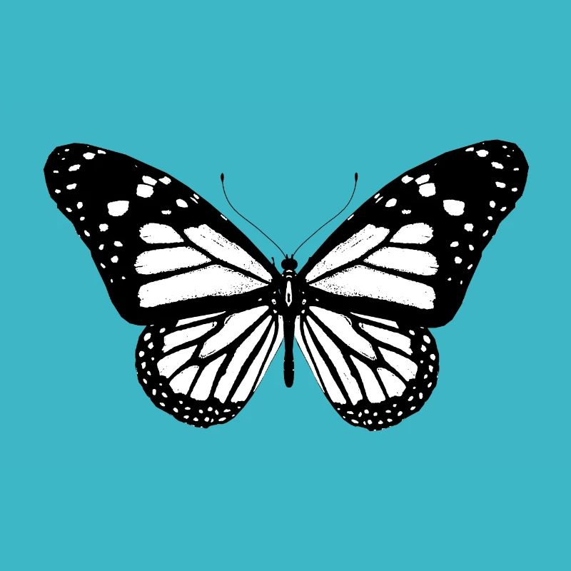 Papillon, papillon, idée cadeau