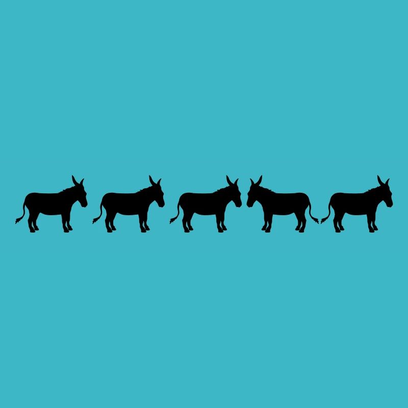 anders be different esel pferd pony klein packesel