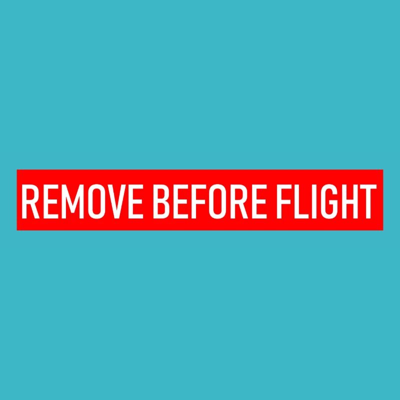 REMOVE BEFORE FLIGHT