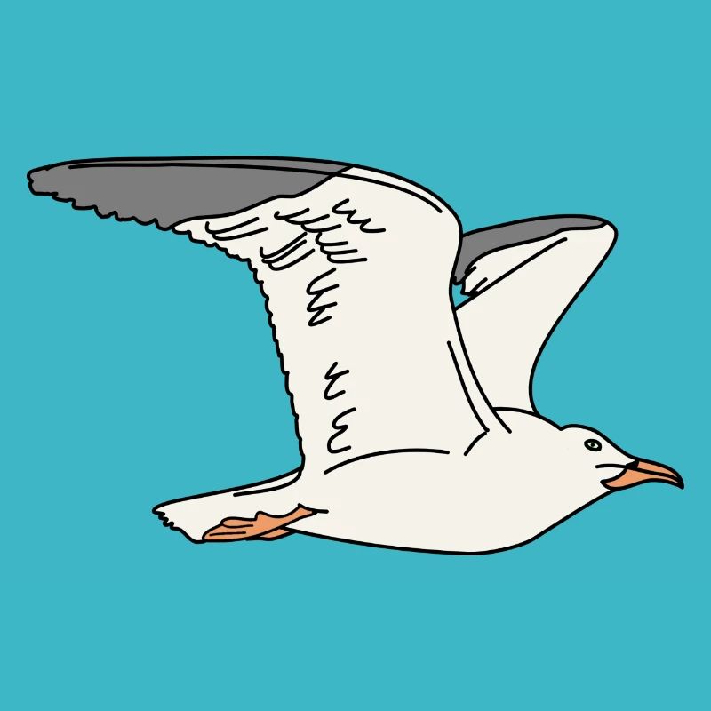 Möwe