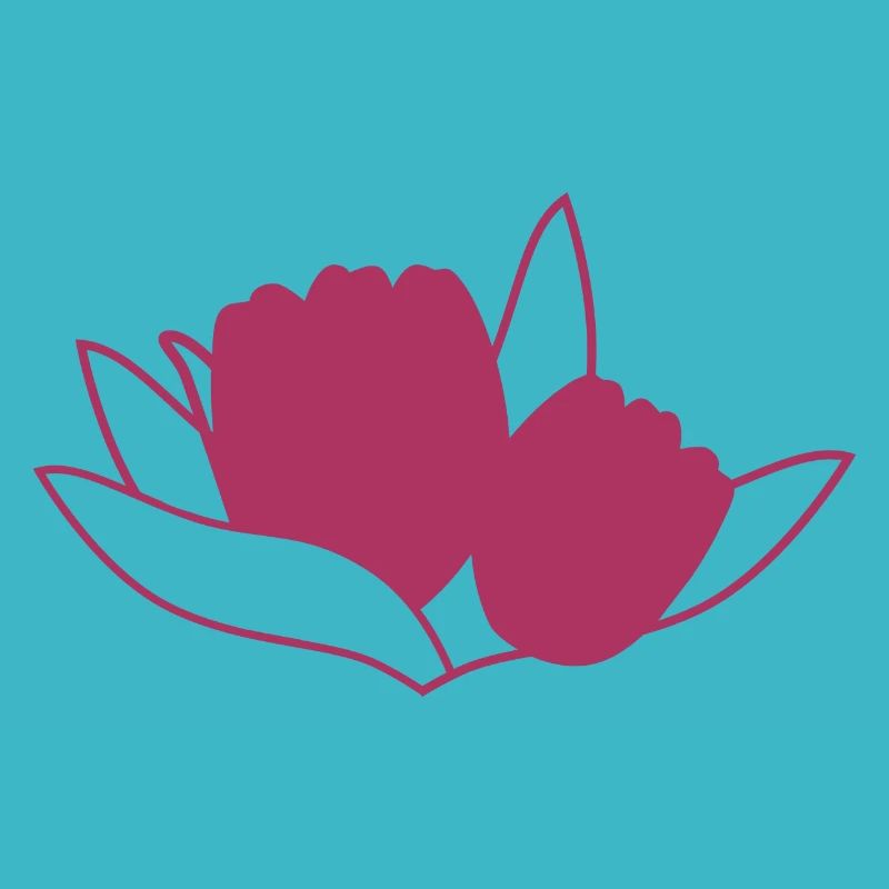Tulipe Rosa