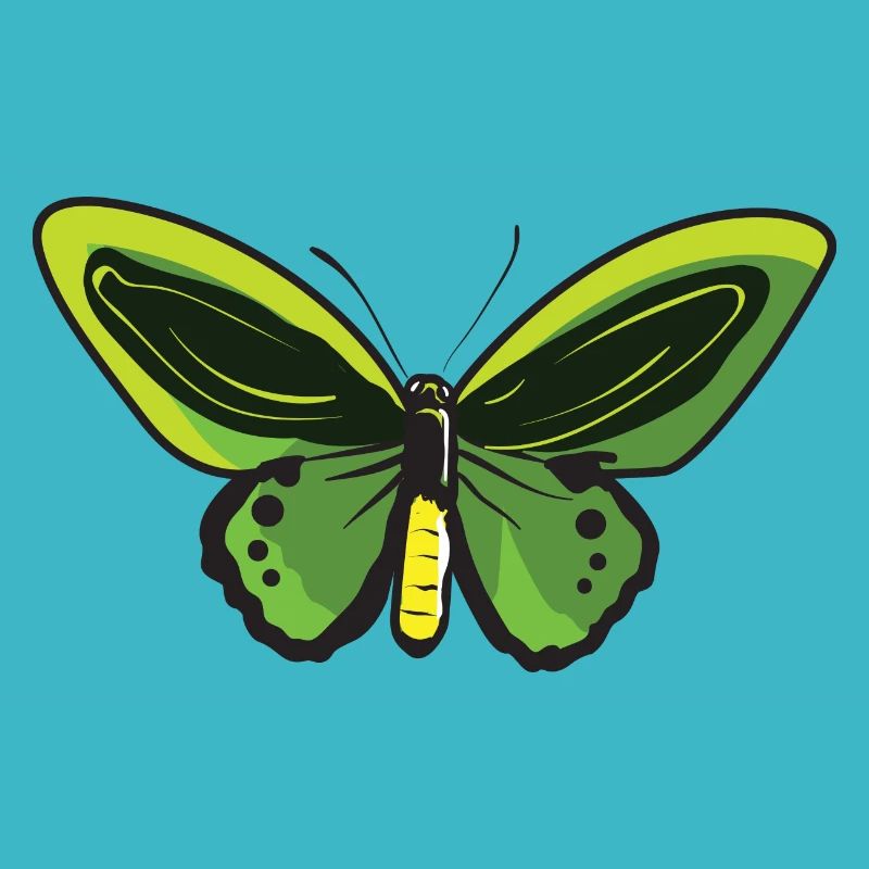 Papillon citron Papillon Papillon papillon