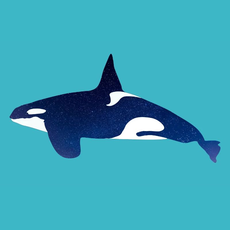 Orca im Nachthimmel