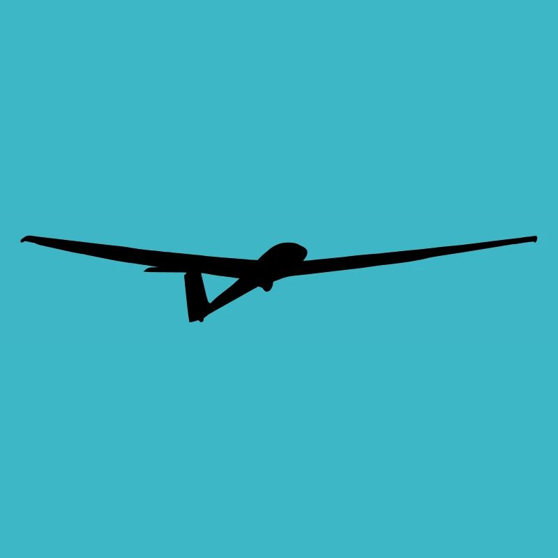 Glider Glider Glider Pilot Pilot