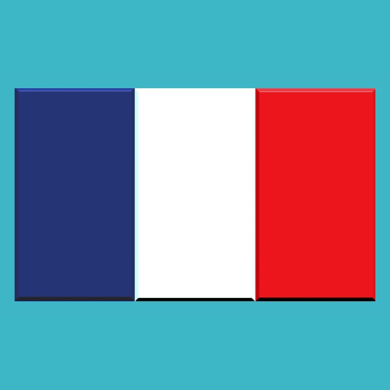 French flag