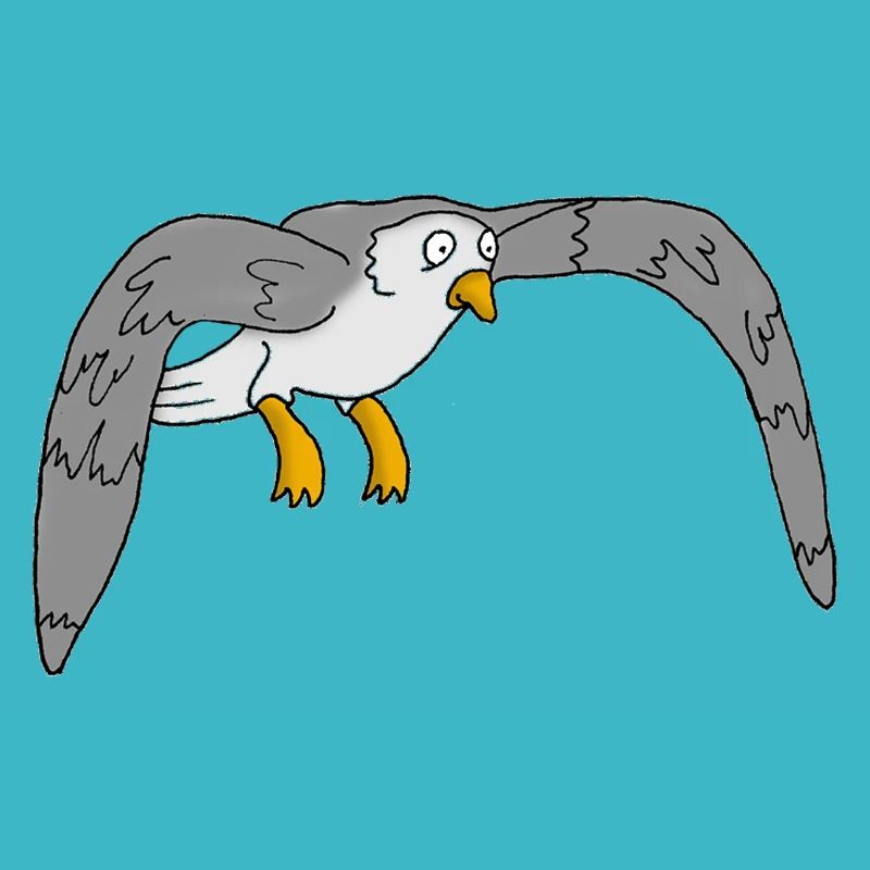 Möwe