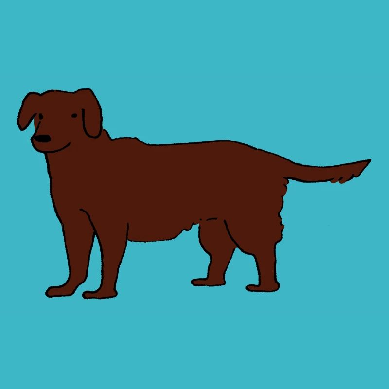Labrador