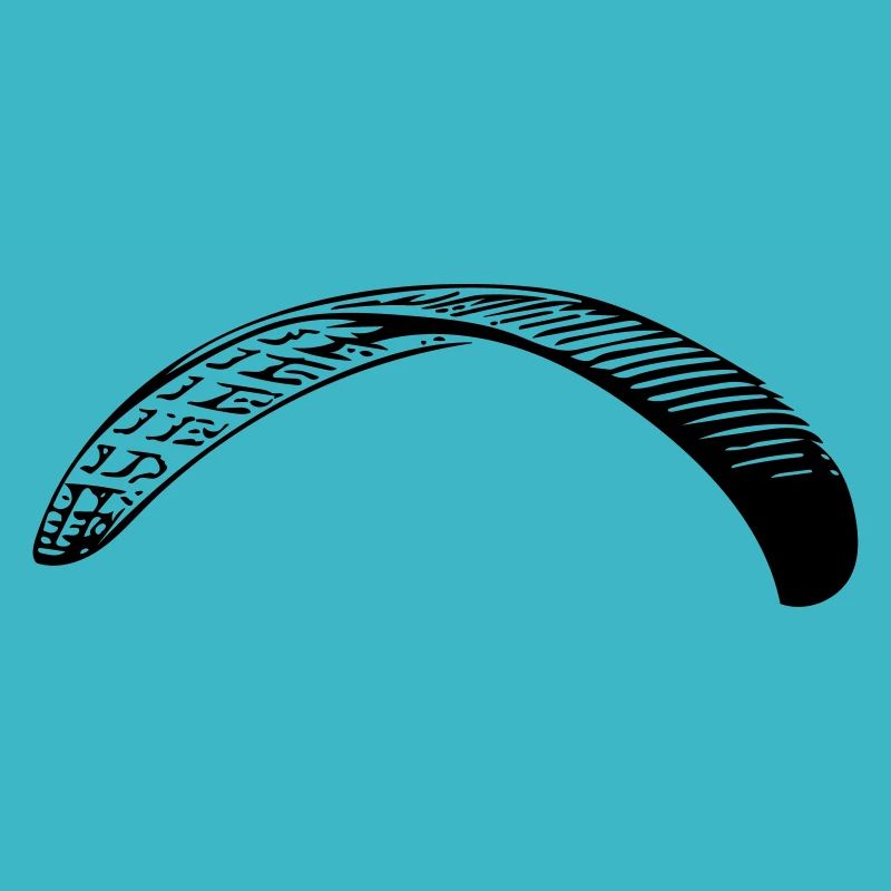 Paraglider