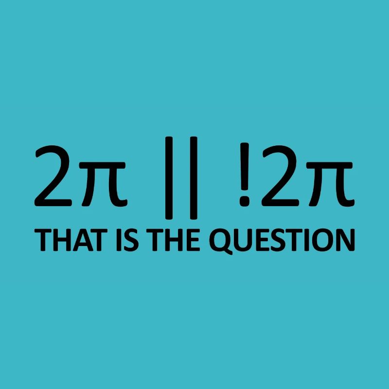 Witzige Nerd Frage für Programmierer Coder Geeks