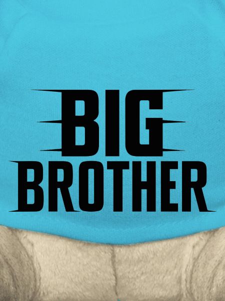 BIG BROTHER