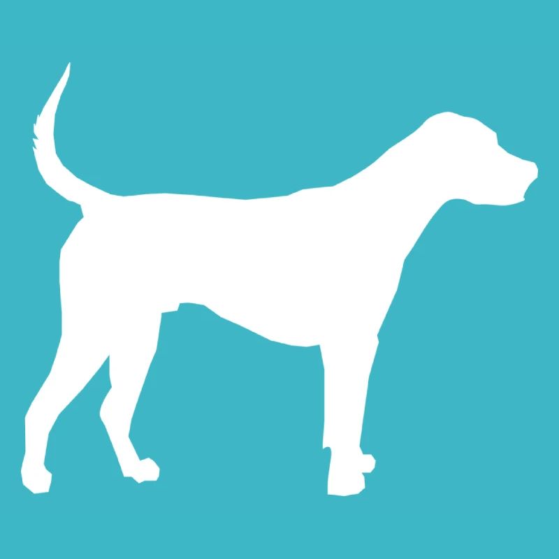 chien; blanc