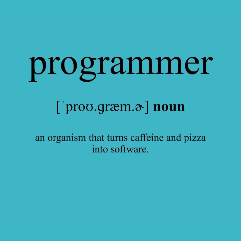 Dictionnaire de définition de programmeur