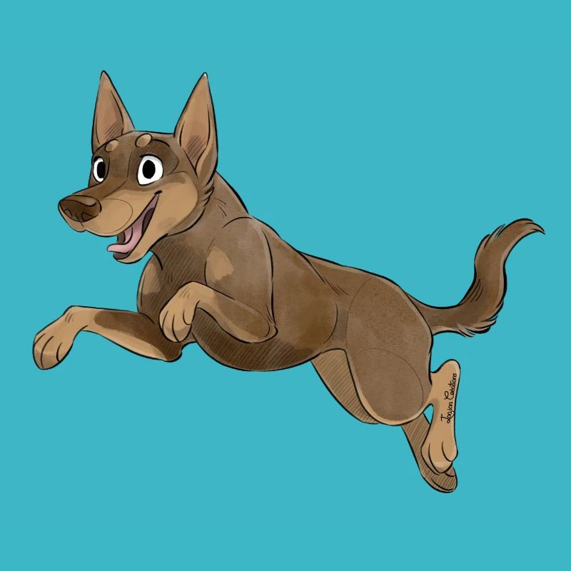 Chien de Sport - Kelpie - Chocolat Feu