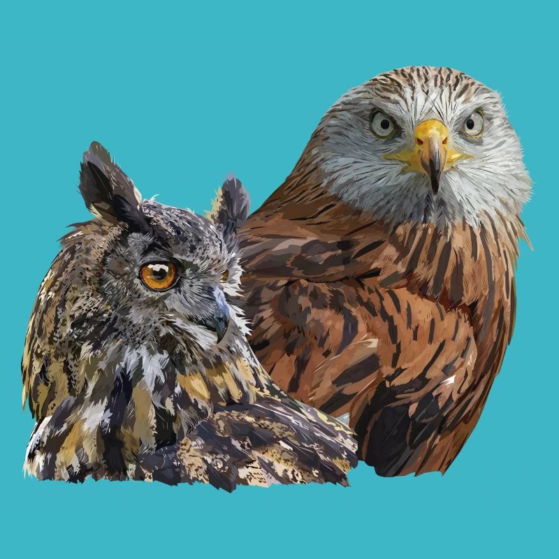 Greifvogel