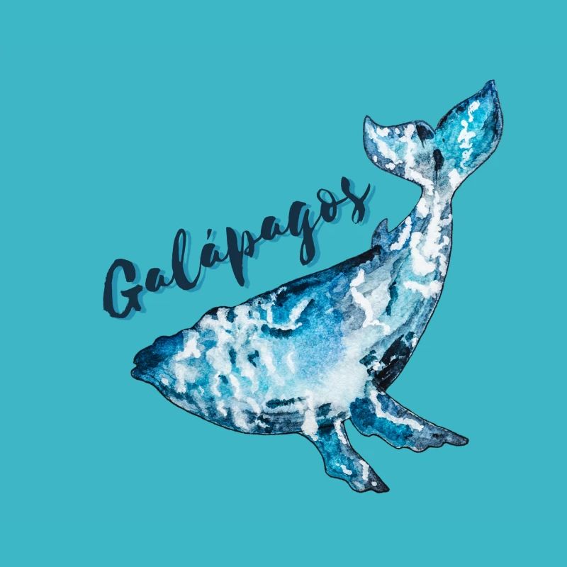 Galapagos-Inseln Wal
