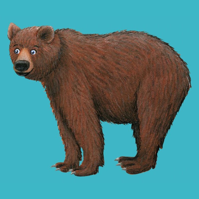 brown bear