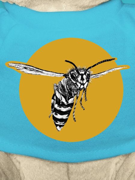 Wasp - Bee - Insect