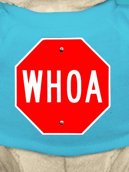 Whoa Stop Sign Design