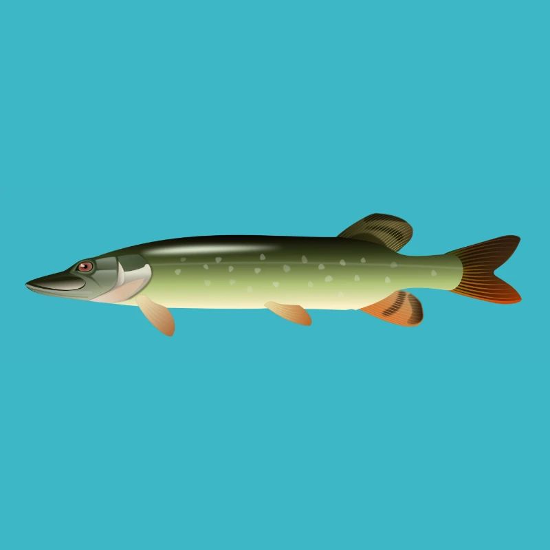 fish15