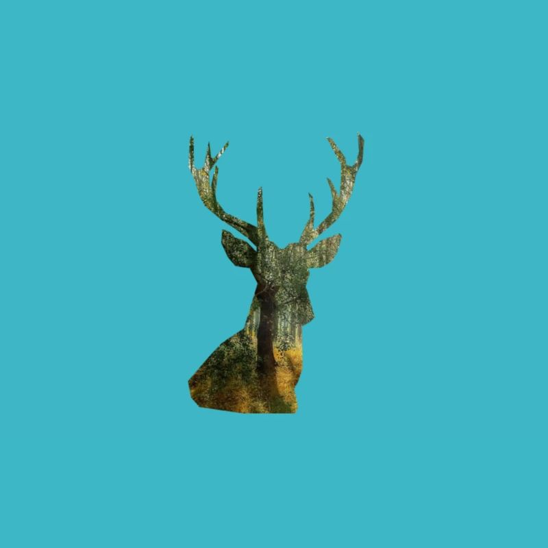 cerf
