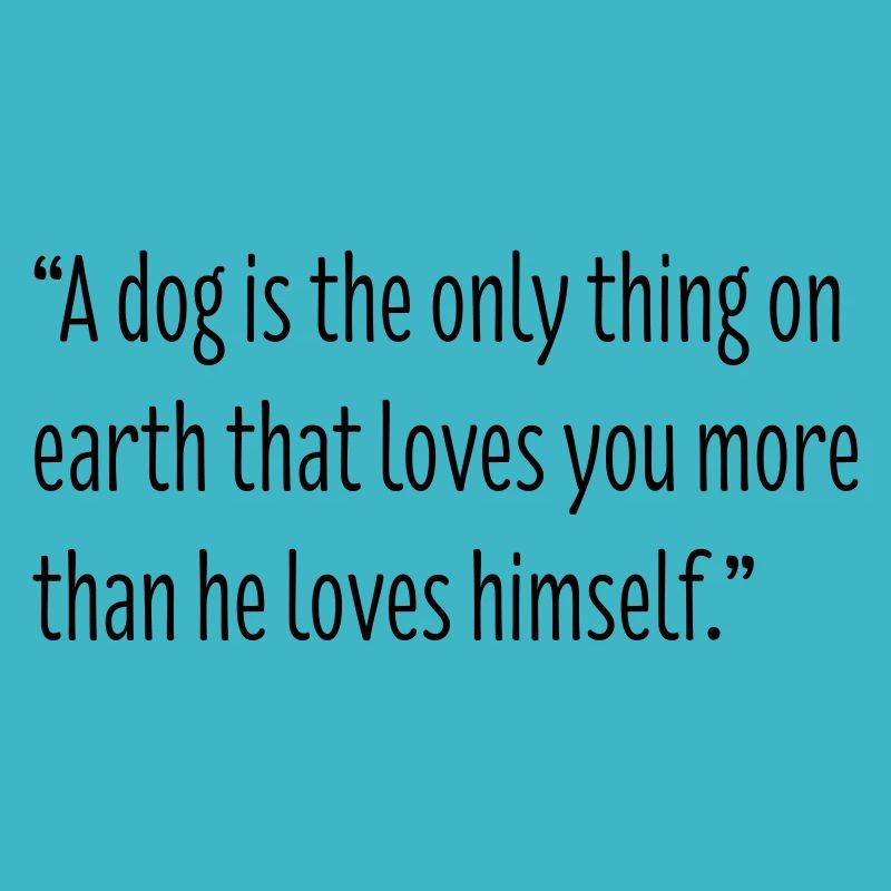 Dog Lovers