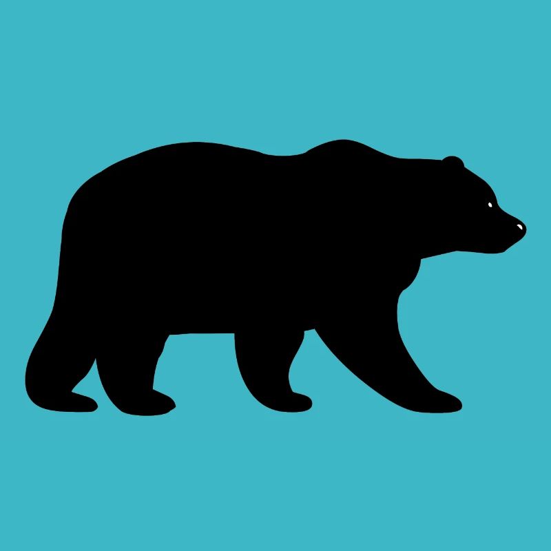 Black bear