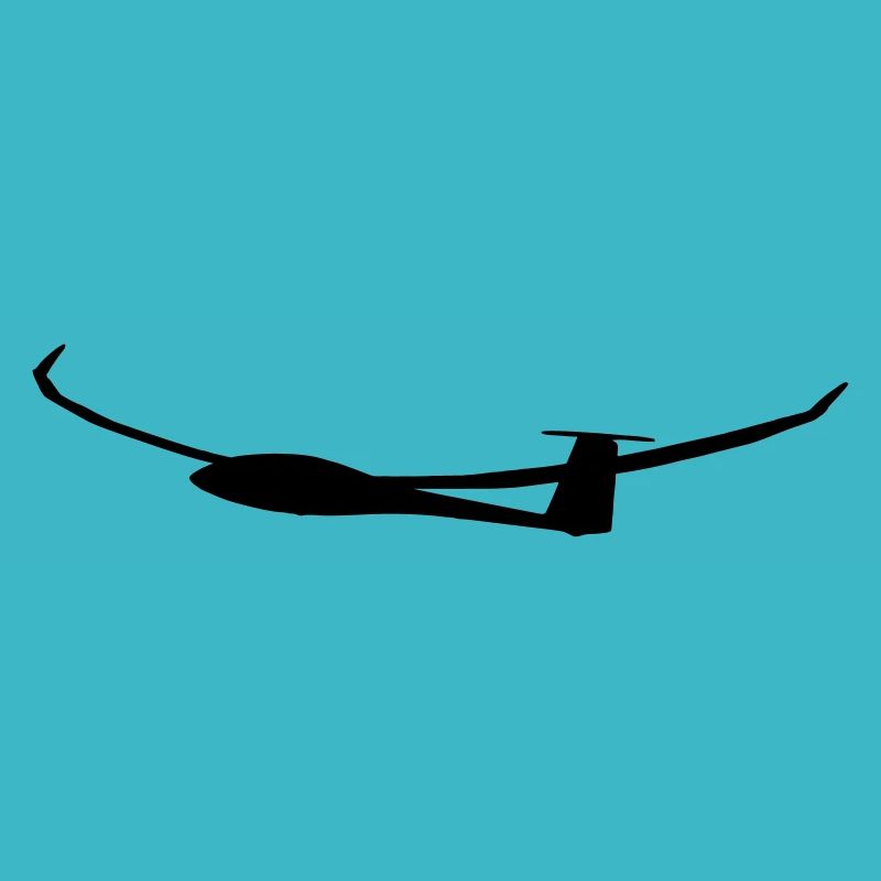 Glider Glider Glider Pilot Pilot