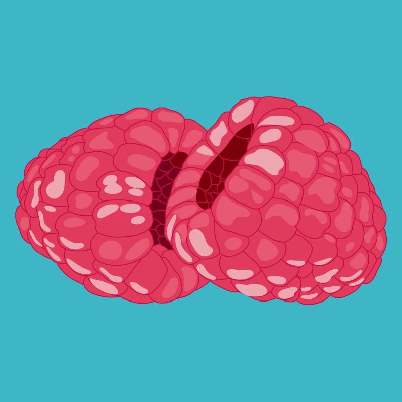 Himbeeren