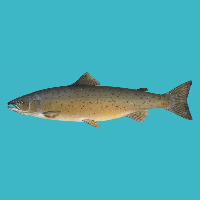 fish471