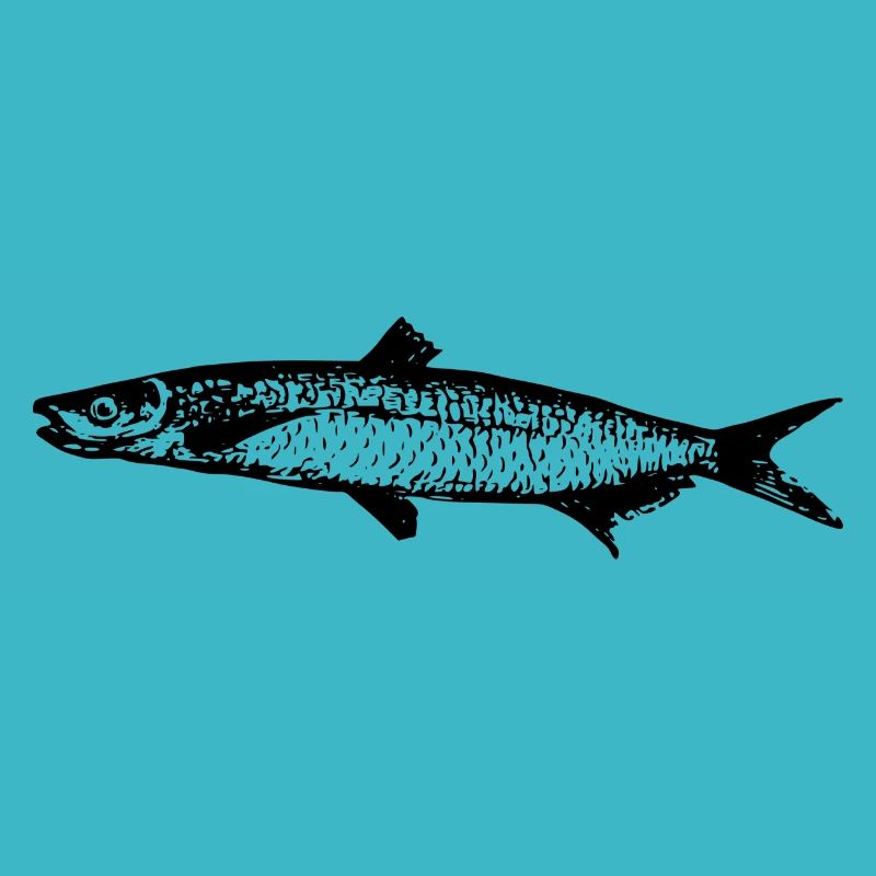 fish513