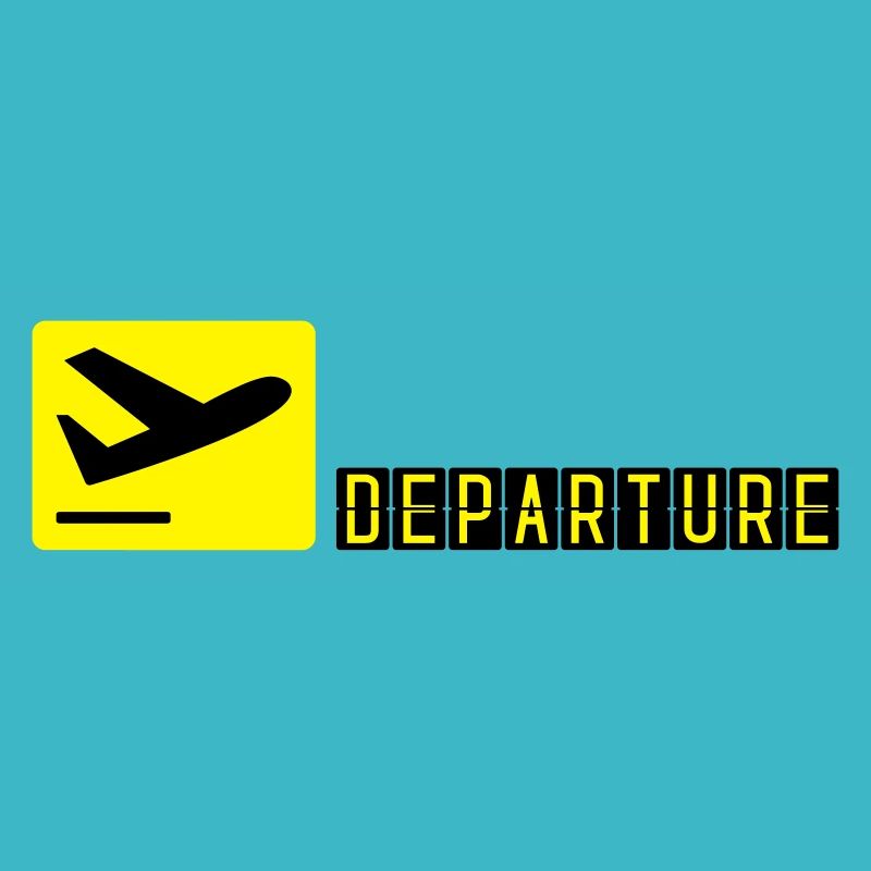 Avion qui décolle