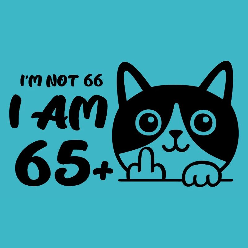 Ich bin nicht 66, ich bin 65 plus 1 Mittelfinger Katze Flip