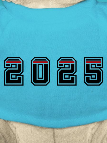 Année 2025