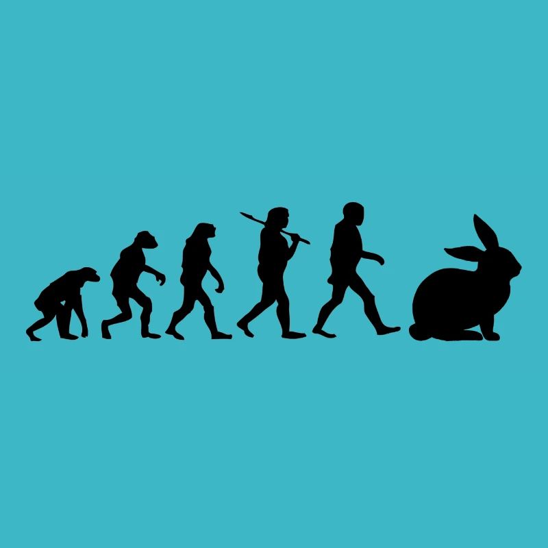 Hase